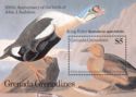 King Eider (Somateria spectabilis)